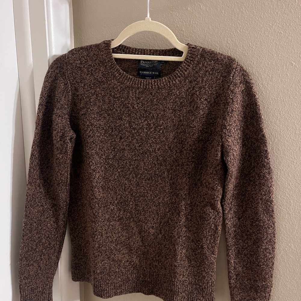 Pendleton Brown Washable Wool Sweater - image 1